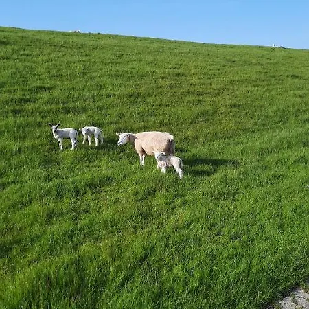 Appartamento Am Deich 1 30